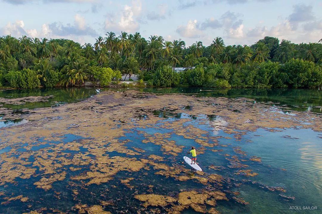 gabbegoidhoo