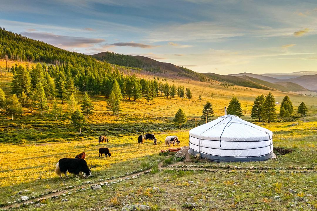 mongolia