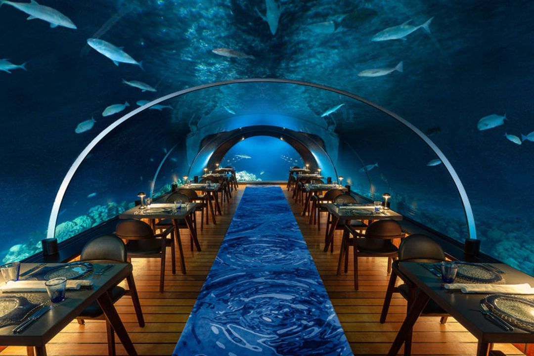 Maldives’ Most Stunning Underwater Dining Experiences – the island logic