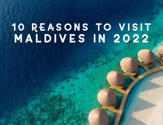 2022reasonsmaldivestitle